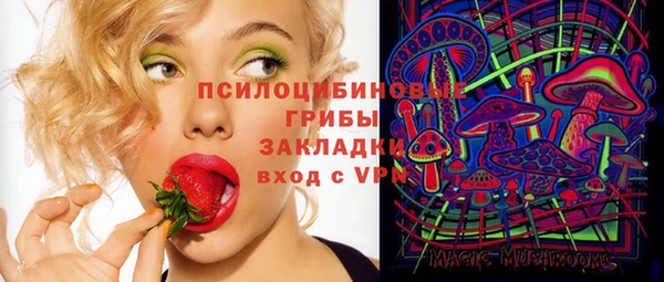 дмт Алексеевка