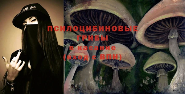 дмт Алексеевка