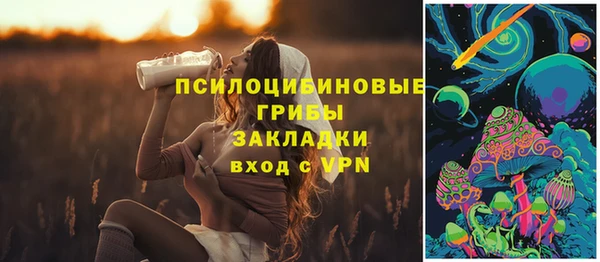 дмт Алексеевка