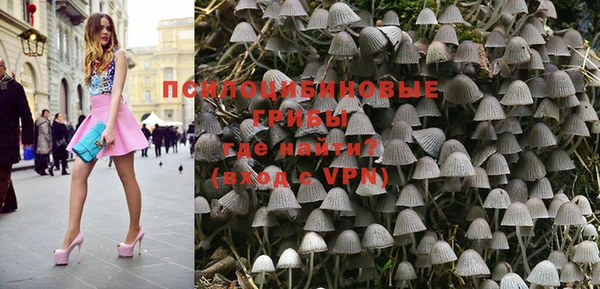 PSILOCYBIN Алексин
